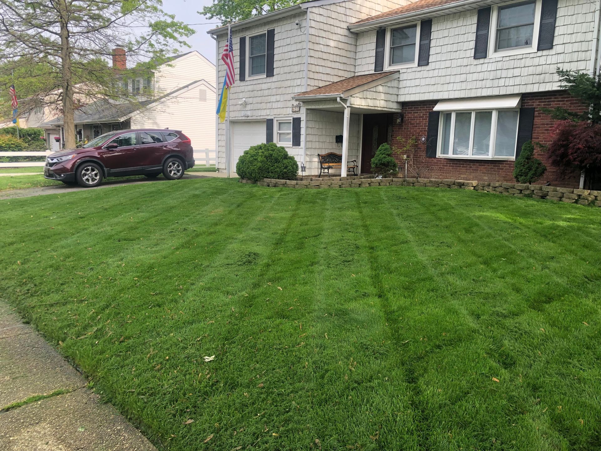 Lawn Care and Maintenance